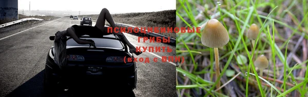 mdpv Каменногорск